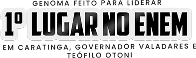 Selo 1º lugar no ENEM em Caratinga, Governador Valadares e Teófilo Otoni